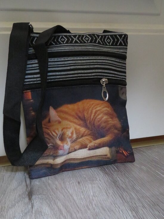 Cute Ginger Cat Crossbody Bag (B347) - Picture 2 of 4